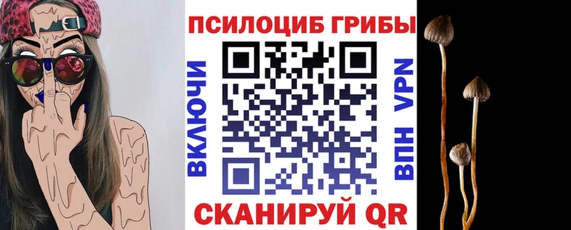 Галлюциногенные грибы MAGIC MUSHROOMS  Купить закладки  Магадан 