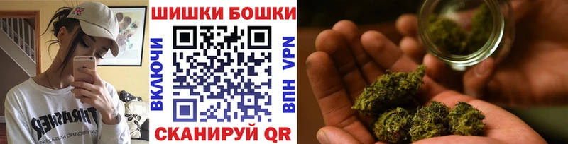 Купить Магадан Бошки марихуана семена